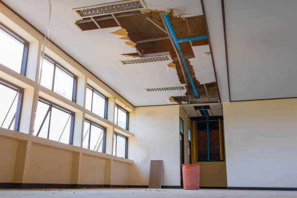 Best Mold removal after water damage  in Emporia, VA