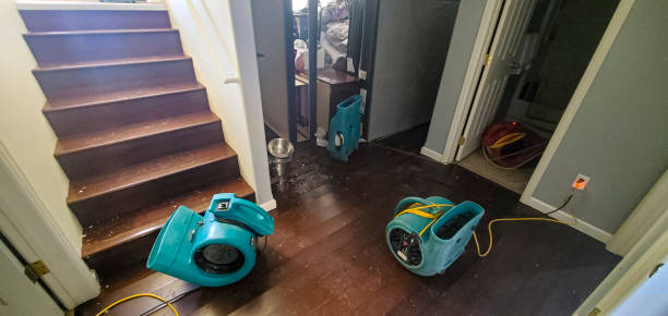 Best Professional water damage repair  in Emporia, VA