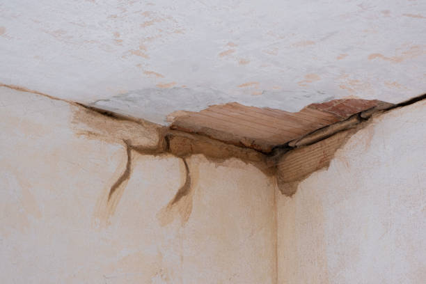 Best Water damage restoration near me  in Emporia, VA