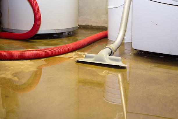 Best Fire Damage Restoration  in Emporia, VA