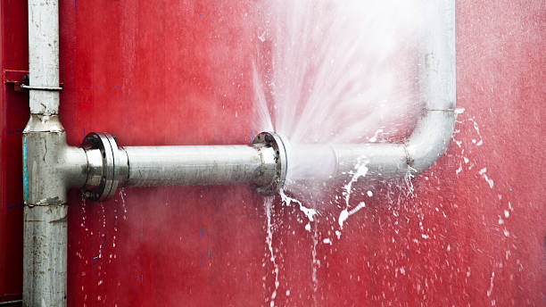 Best Flooded house restoration  in Emporia, VA